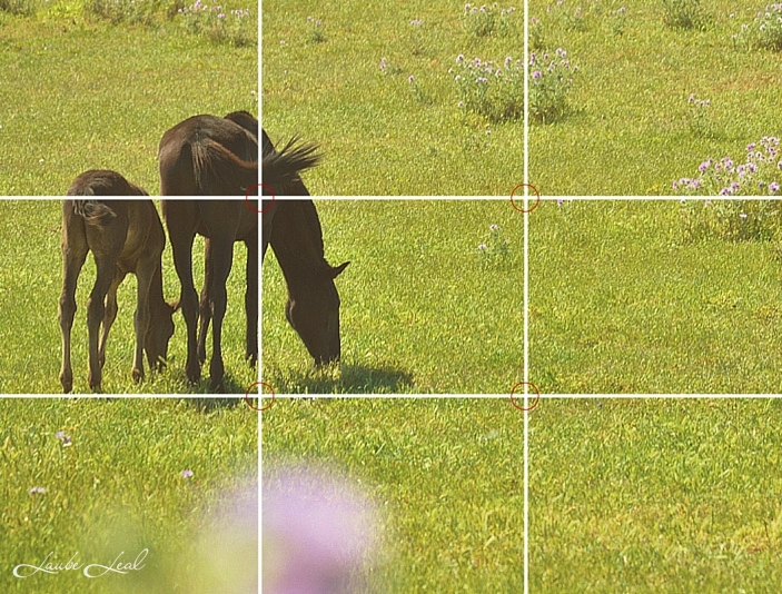 La regla de los tercios en fotografía
